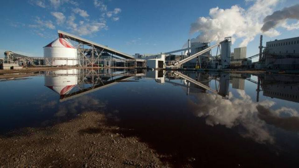 Şişecam ve Ciner'den ABD'de hedef büyüten ortaklık