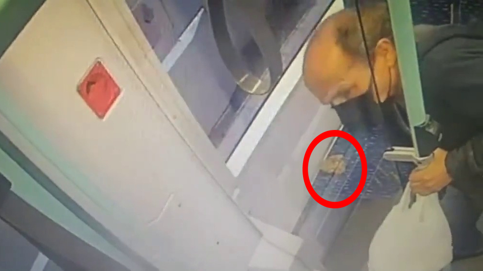 Boji ile ilgili iddialara İBB'den videolu yanıt!