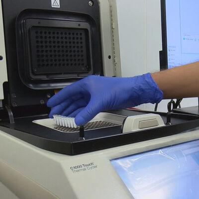 Geri sayım başladı! Doğruluk oranı yüzde 100'e yakın