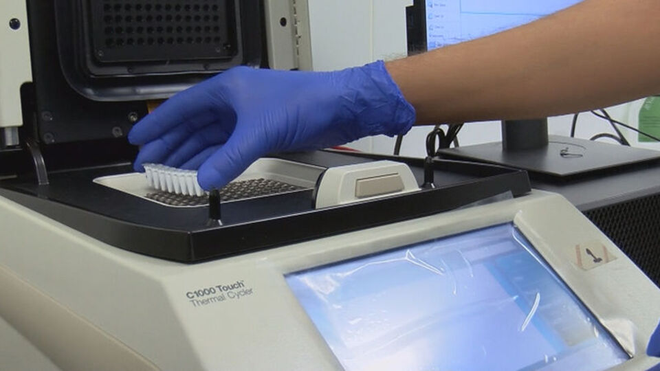 Geri sayım başladı! Doğruluk oranı yüzde 100'e yakın