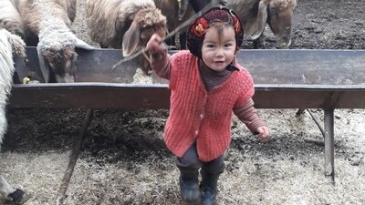 Müslüme'nin ailesinden 8 kişi adliyeye sevk edildi