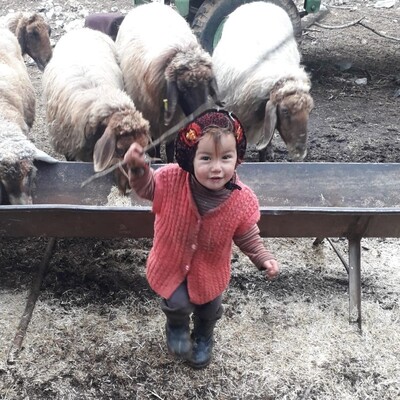 Müslüme'nin ailesinden 8 kişi adliyeye sevk edildi