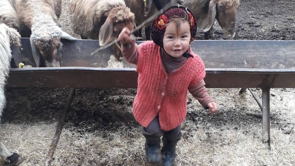 Müslüme'nin ailesinden 8 kişi adliyeye sevk edildi