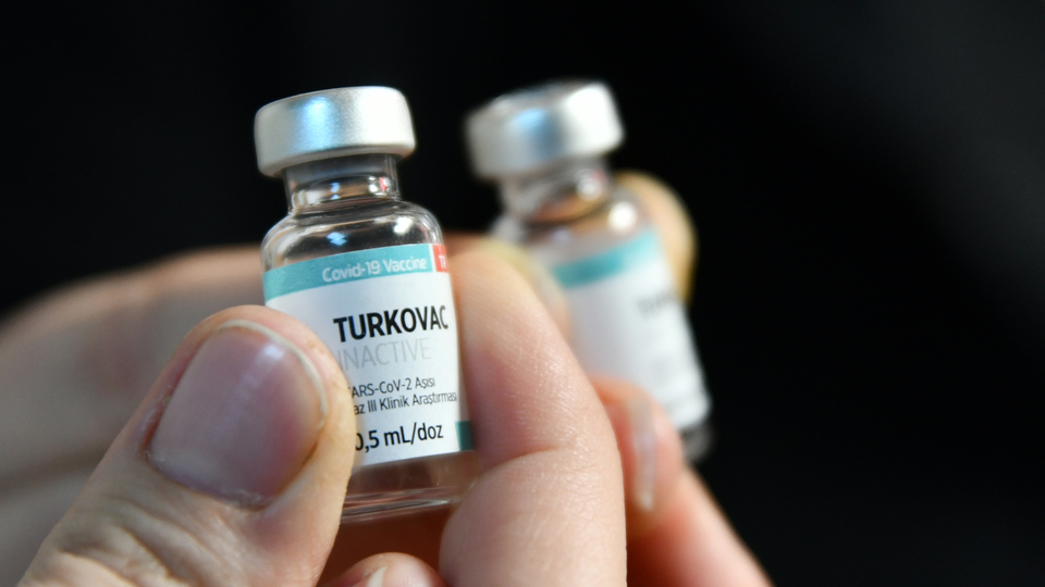 Yerli aşı ne zaman çıkacak?