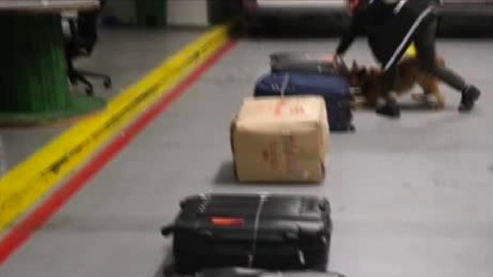 İstanbul Havalimanı'nda uyuşturucu operasyonu