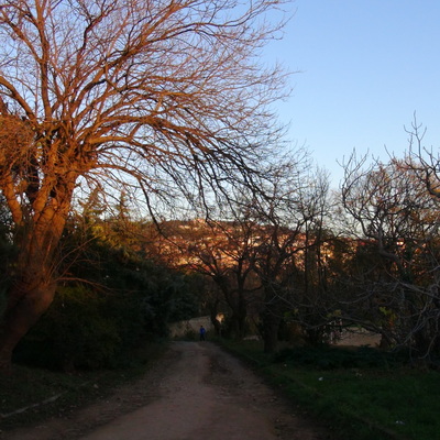 Yargıdan Validebağ kararı!