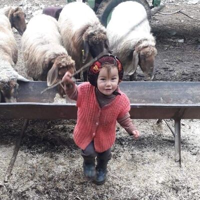 Bakan Yanık'tan Müslüme açıklaması