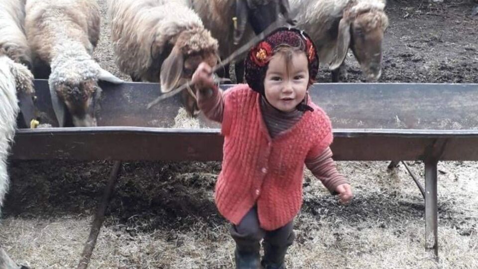 Bakan Yanık'tan Müslüme açıklaması