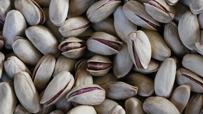 Antep fıstığı ihracatı yüzde 33 arttı