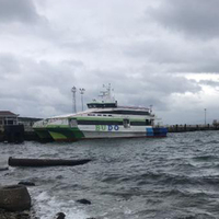 BUDO seferleri iptal edildi