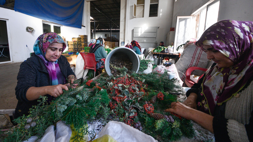 Kırık dallar, yapraklardan yapıp satıyorlar