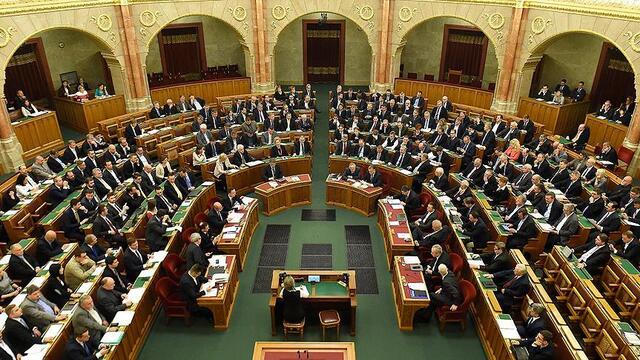 Macaristan'da 'eşcinsellik düzenlemesi' referanduma gidecek