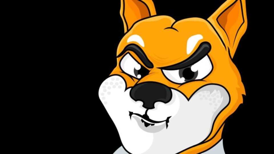 Shiba Coin ne kadar oldu?