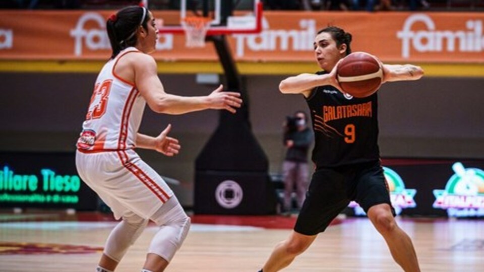 Aslan, İtalya'da kayıp!