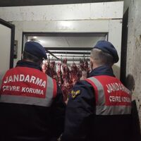 Baskında 300 kilo at eti ele geçirildi