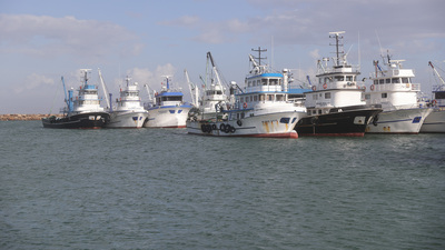 Marmara'da lodos engeli! Limanda bekliyorlar