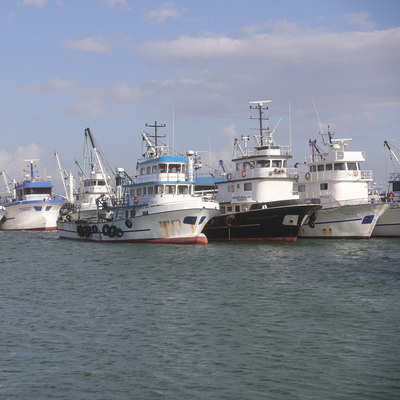 Marmara'da lodos engeli! Limanda bekliyorlar