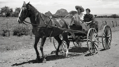 İstanbul Sinema Müzesi etkinlik rehberi