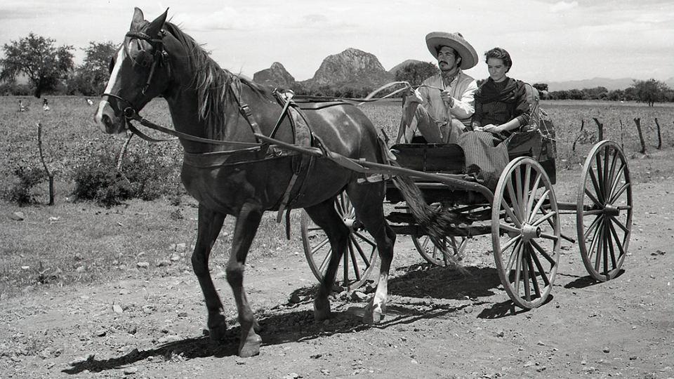 İstanbul Sinema Müzesi etkinlik rehberi