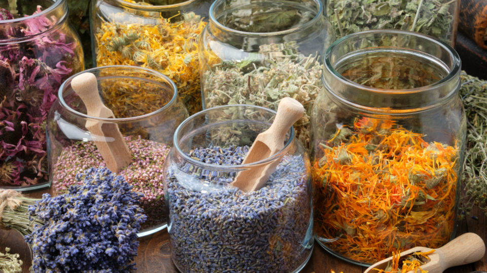 Obezite tedavisinde bitkisel ilaçlara dikkat!