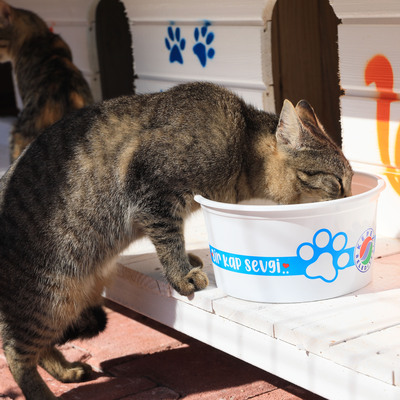 Artan fiyatlar mamaları da vurdu!