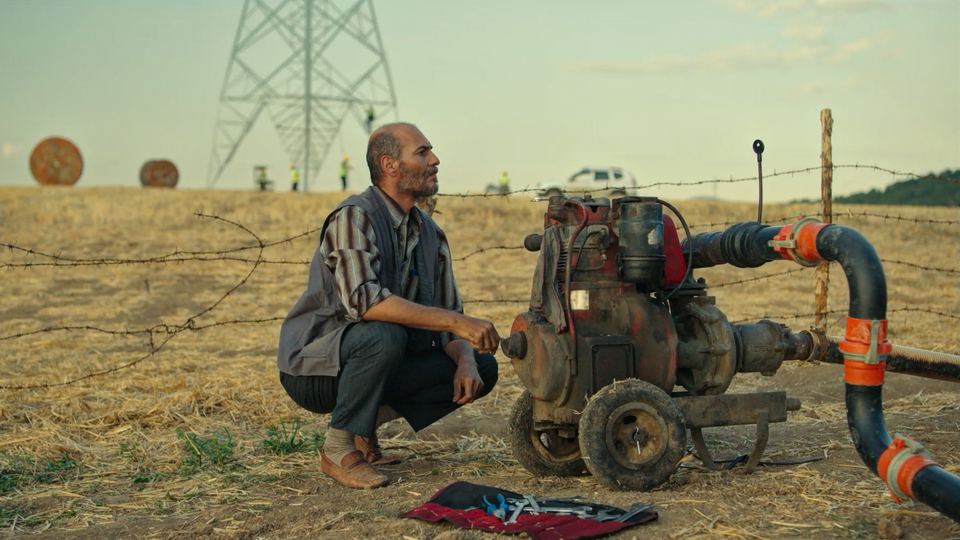 Oscar adayına ilgi yok
