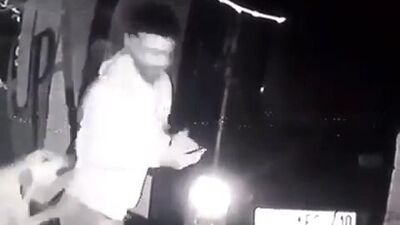 Özel barınaktaki köpeğe tekme! Sıcak gelişme!