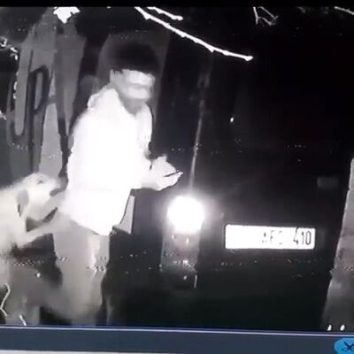 Özel barınaktaki köpeğe tekme! Sıcak gelişme!