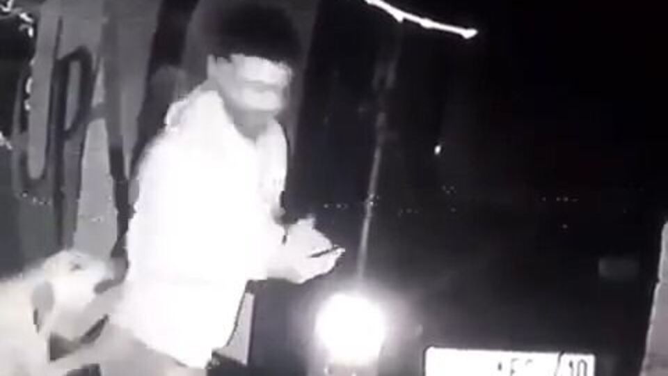 Özel barınaktaki köpeğe tekme! Sıcak gelişme!