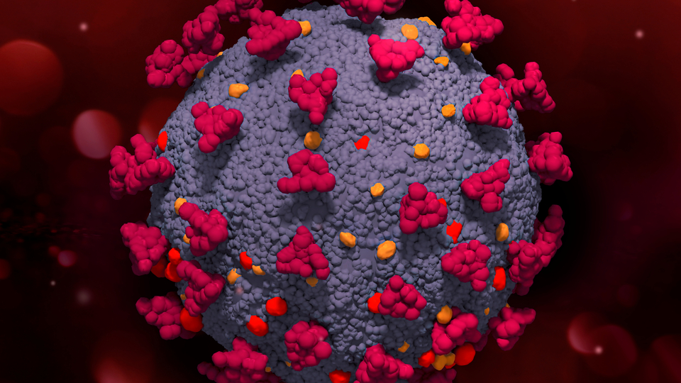 Virüs atalarından çok uzaklaştı!