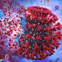 Prof. Dr. Şener'den sevindiren haber! Virüs evcilleşiyor