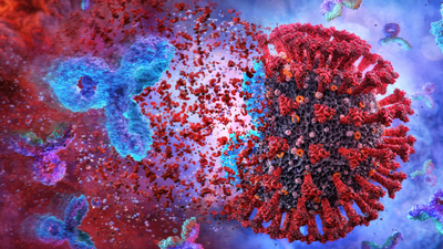 Prof. Dr. Şener'den sevindiren haber! Virüs evcilleşiyor