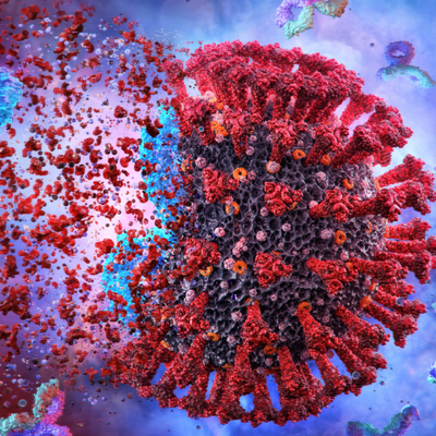 Prof. Dr. Şener'den sevindiren haber! Virüs evcilleşiyor