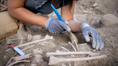 102 bin yıllık dev fosilde ilginç parmak detayı!