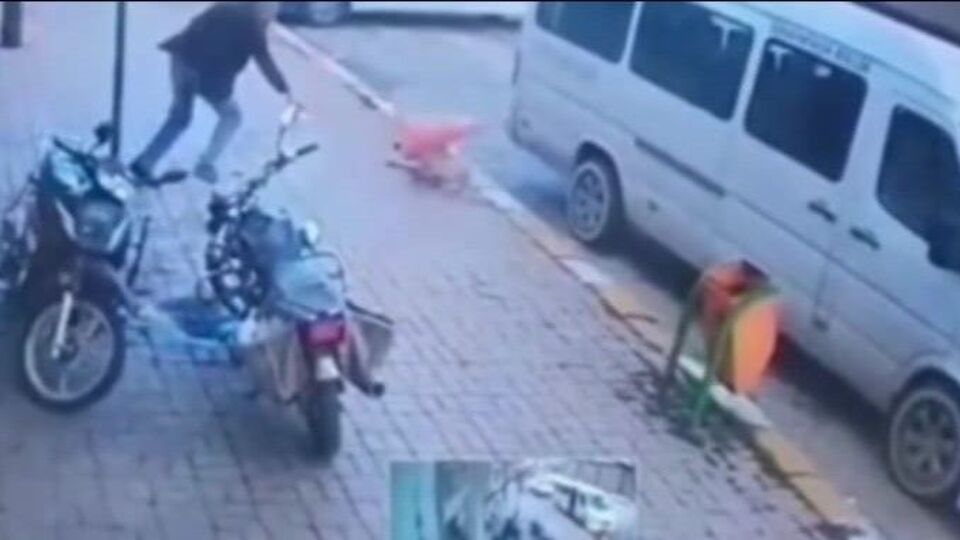 Köpek can derdinde...