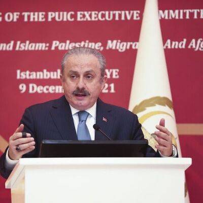 Şentop, İSİPAB İcra Komitesi toplantısında konuştu