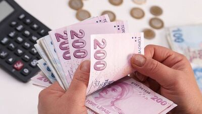1100 TL yardım başvurusu sorgulama ekranı