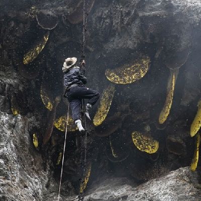 Sarp dağlarda arıyorlar! Ölüme meydan okuyorlar