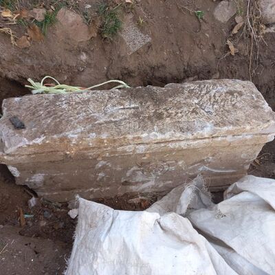 Bahçe düzenlemesinde bulundu, korumaya alındı