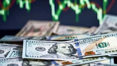 Dolar 14 liraya dayandı!