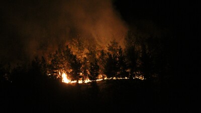 Manavgat'ı küle çeviren sanıktan inanılmaz savunma!