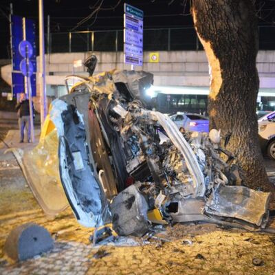 Ağaca çarpan şoför hayatını kaybetti