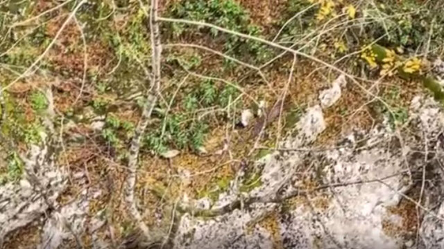 Horma Kanyonu'nda görüntülendi