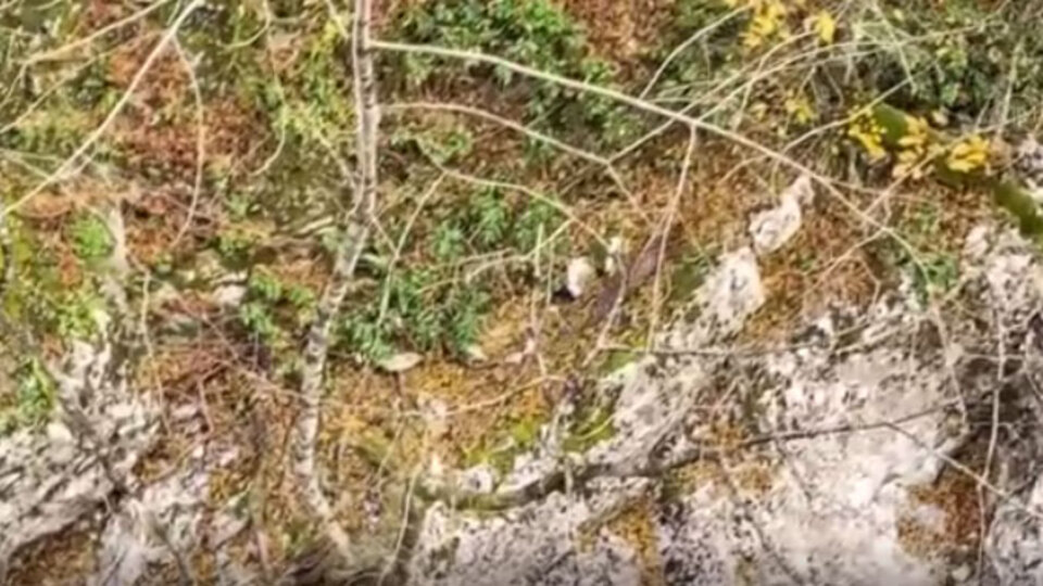 Horma Kanyonu'nda görüntülendi