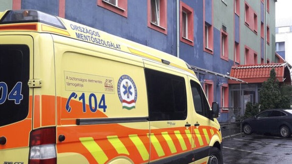 Göçmenleri taşıyan araç kaza yaptı: 7 ölü, 4 yaralı