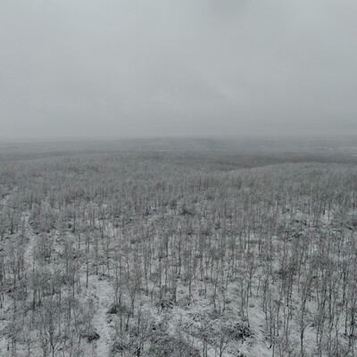 İstanbul'da kar yağışı etkili oluyor!
