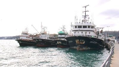 İstanbul'da balıkçılar 2 gün denize açılmayacak