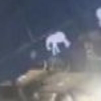 Köpeğin havlamasından korktu dengesini kaybetti