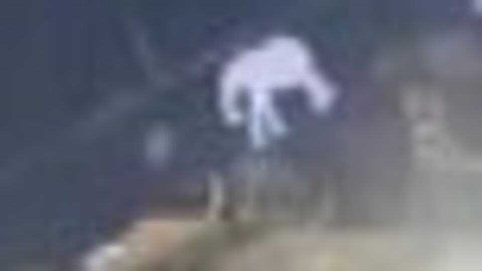 Köpeğin havlamasından korktu dengesini kaybetti