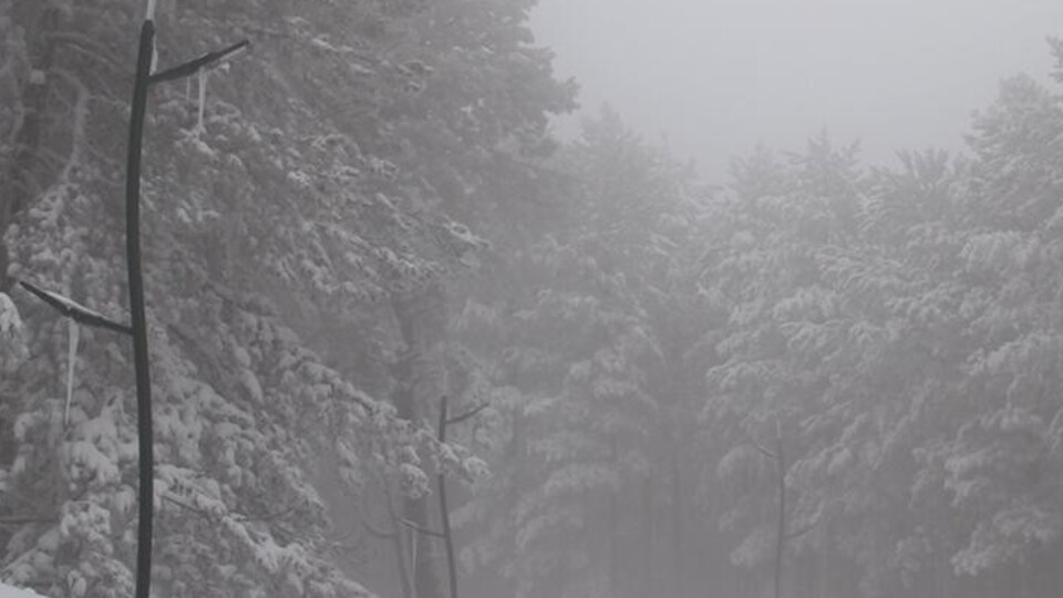Meteoroloji duyurdu! Sıcaklıklar artmaya başlayacak